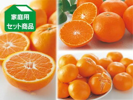 コタツでみかん3種セット＜満足セット＞（愛媛県産）