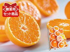 柑橘詰め合わせ(2) 碧(あおい)セット※写真はイメージです。セット内容は入荷状況や時期によって異なります。
