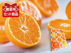柑橘詰め合わせ(3) 山吹(やまぶき)セット※写真はイメージです。セット内容は入荷状況や時期によって異なります。
