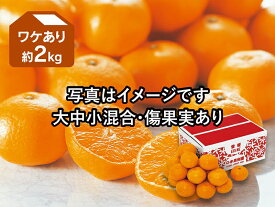 愛媛みかん 約2kg ワケあり