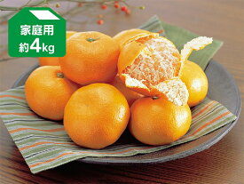 愛媛みかん L玉 約4kg