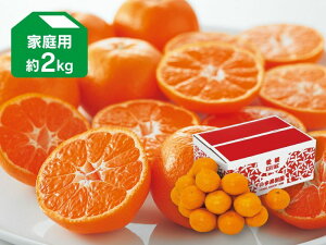 ���Q�݂��� ��2kg �ƒ�p