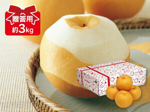 新高梨 約3kg 贈答用