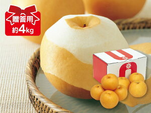 新高梨 約4kg 贈答用