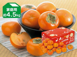富有柿 約4.5kg 家庭用