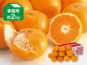 �͂�Ђ� ��2kg �ƒ�p�y12��16������菇�������z