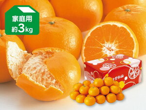 �͂�Ђ� ��3kg �ƒ�p�y12��16������菇�������z