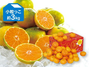 ɑ݂3kg y108菇z