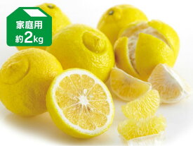 はるか 約2kg 家庭用