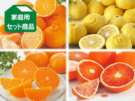 3月の柑橘4種味比べ「プチ」セット