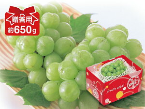pu˃WCAcviYԂǂj650gO