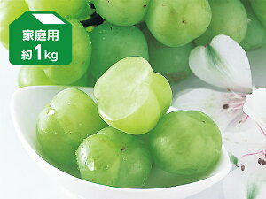 ƒpu˃WCAcviYԂǂj1kg