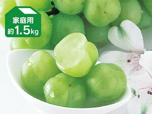 ƒpu˃WCAcviYԂǂj1.5kg