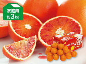 ブラッドオレンジ（タロッコ）家庭用約3kg（愛媛県産）