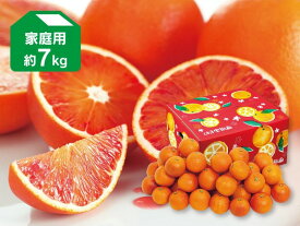 ブラッドオレンジ（タロッコ）家庭用約7kg（愛媛県産）