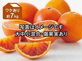 ワケありブラッドオレンジ（タロッコ）約7kg【訳あり みかん 柑橘 国産 愛媛産】