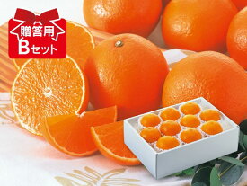 媛まどんな 贈答用Bセット（愛媛県産）【愛媛果試第28号】