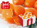 媛まどんな 贈答用Cセット（愛媛県産）【愛媛果試第28号】