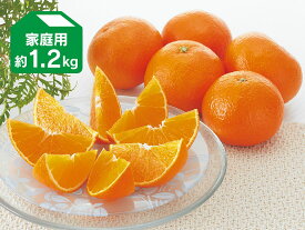 媛まどんな 約1.2kg 家庭用（愛媛県産）【愛媛果試第28号】