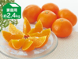 媛まどんな 約2.4kg 家庭用（愛媛県産）【愛媛果試第28号】