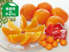 媛まどんな 約2kg 家庭用（愛媛県産）【愛媛果試第28号】