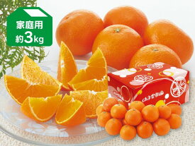 媛まどんな 約3kg 家庭用（愛媛県産）【愛媛果試第28号】