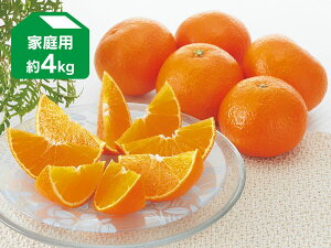 Q܂ǂ 4kg ƒpiQYjyQʎ28zy128菇z