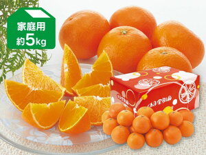 Q܂ǂ 5kg ƒpiQYjyQʎ28zy128菇z