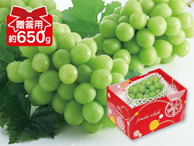 シャインマスカット贈答用約650g（1〜2房）