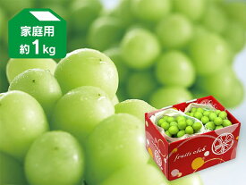 シャインマスカット家庭用約1kg