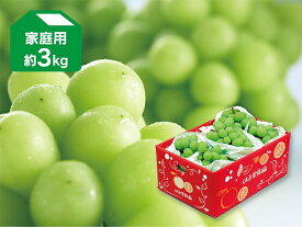 シャインマスカット家庭用約3kg