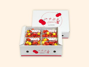 Jtg}gEv`ՂBOXi1.2kgjyszy1119菇z