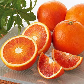 ぷちブラッドオレンジ（タロッコ）約3kg（小粒）（愛媛県産）【みかん 柑橘 国産 愛媛産】