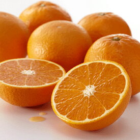 清見タンゴール（清見オレンジ）贈答用約2.8kg【きよみ みかん 柑橘 愛媛産】
