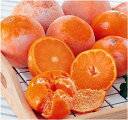 冷凍柑橘いろいろ8種セットW（16個入）＜全8種類＞（個包装）（冷凍みかん）