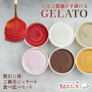 贅沢6種!ご褒美ジェラート食べ比べセット ジェラート 600ml アイスクリーム 詰め合わせ ギフト 果樹花ふぁーむ