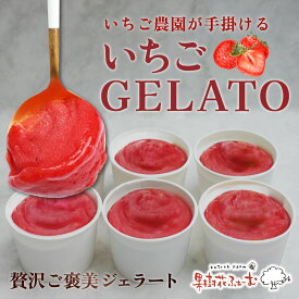 ご褒美ジェラートいちご ジェラート 6個 600ml アイスクリーム 詰め合わせ ギフト フルーツアイス お菓子 お歳暮 御歳暮 冬ギフト セット スイーツ 贈り物 プレゼント ギフトセット 甘いもの 誕生日 お返し 御礼 内祝い 果樹花ふぁーむ