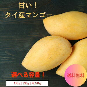 【タイ産】ナンドクマイ種 マンゴー 果物 フルーツ 送料無料 クール便