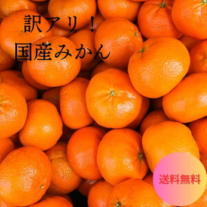 yJXZ[ Si10%OFFN[|zzIz݂ Y  A