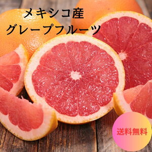 mLVRYnO[vt[c@Iׂeʁ@