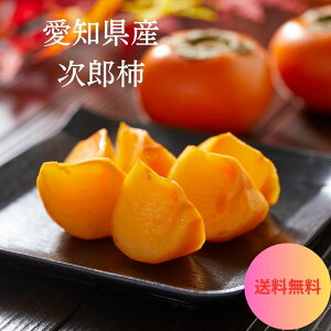 mY@Y`@TCY2L@ʁ@@pEƒp t[c ʕ H̖o