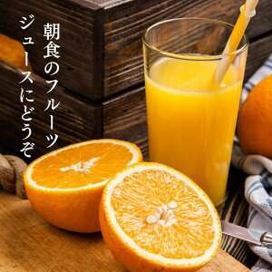 yr[Ŏg10%OFFN[|zzIz yI[XgAYzIW@l[uIW@@@t[c@ʕ