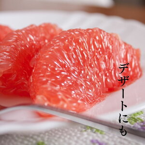 yr[Ŏg10%OFFN[|zzIz mLVRYnO[vt[c Iׂe 