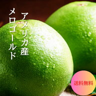 【アメリカ産】メロゴールド SEQUOIA 18～23玉 大玉 特大 甘い 苦くない グレープフルーツ 柑橘 大玉 特…