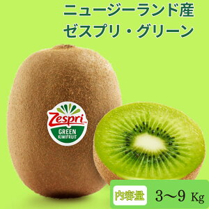 キウイ グリーン」の人気商品一覧 | 安い商品を通販サイトから探す 