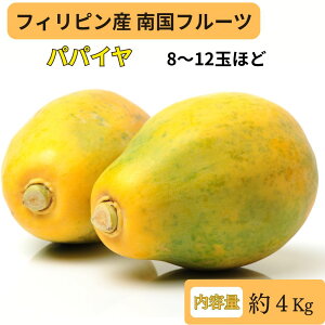 �t�B���s���Y �p�p�C�� 4kg 8�ʁ`12�� �썑�t���[�c ���n �� �y�f ���e ���N ��������
