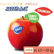 JAZZりんご ニュージーランド産 送料無料 4.5kg 9kg 18kg 選べる容量 20～100玉前後 りんご 林檎 フルー…
