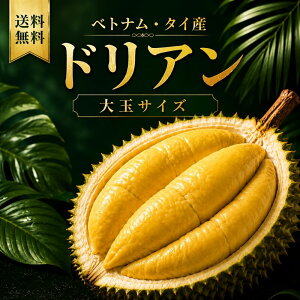 2026年7月 ドリアンの人気商品ランキング - 価格.com