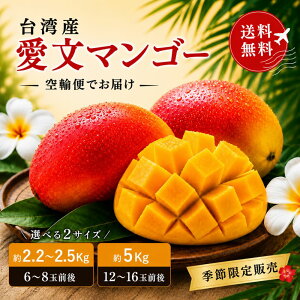 �y���r���[���e�łق����v���[���g�z��p�}���S�[ �����}���S�[ 2.2�`5Kg 12�`16�ʑO�� ��p�Y �������� �A�b�v���}���S�[ �t���[�c �� �M�t�g ������