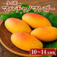 【レビュー投稿でほし芋プレゼント】【特別価格】タイ産 マハチャノマンゴー 10～14玉入り 送料無料 マン…